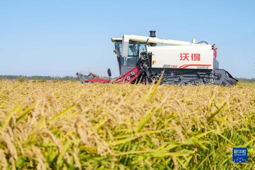 博狗游戏平台